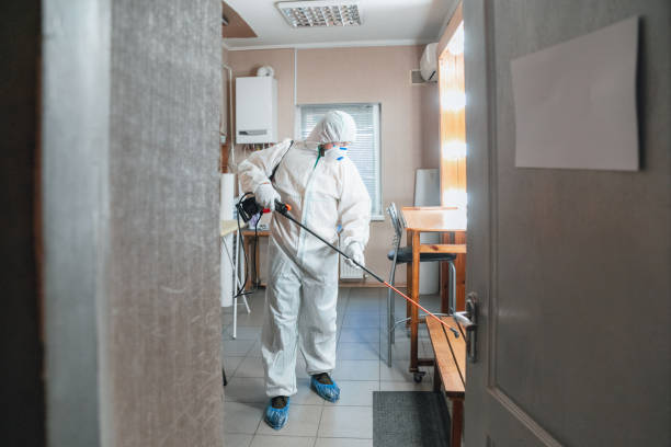 Mold Odor Removal Services in Woodfield, SC