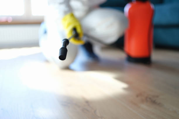 Best Mold Documentation for Insurance Claims  in Woodfield, SC